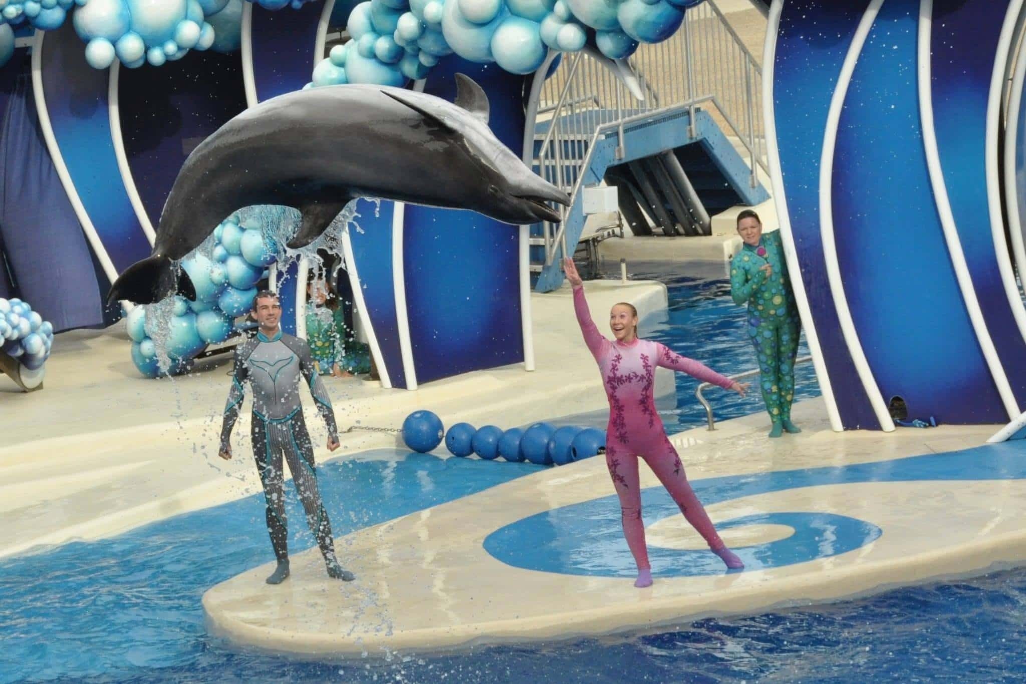 Temporada em Orlando - As melhores atrações do SeaWorld
